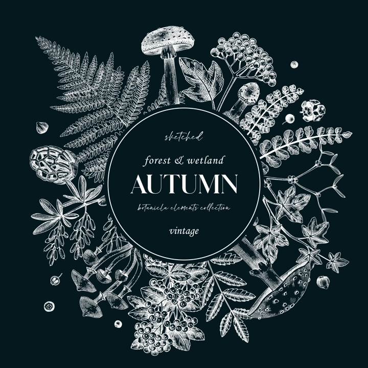 Autumn card or invitation on chalkboard. Thanksgiving wreath design. Decorative wreath with realistic fall leaves, mushrooms, ferns, forest plants sketches. Hand drawn vector illustration
